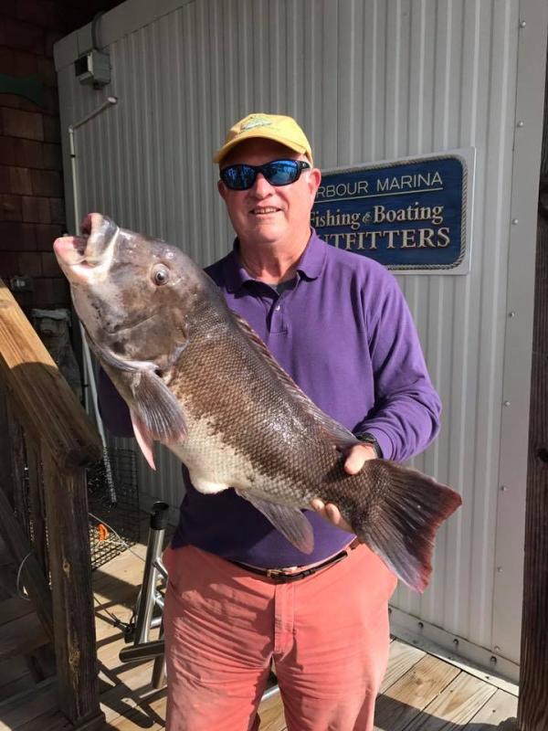 A successful day at the DelJerseyLand Reef Cape Gazette